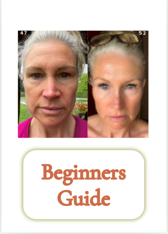 Beginner's Guide