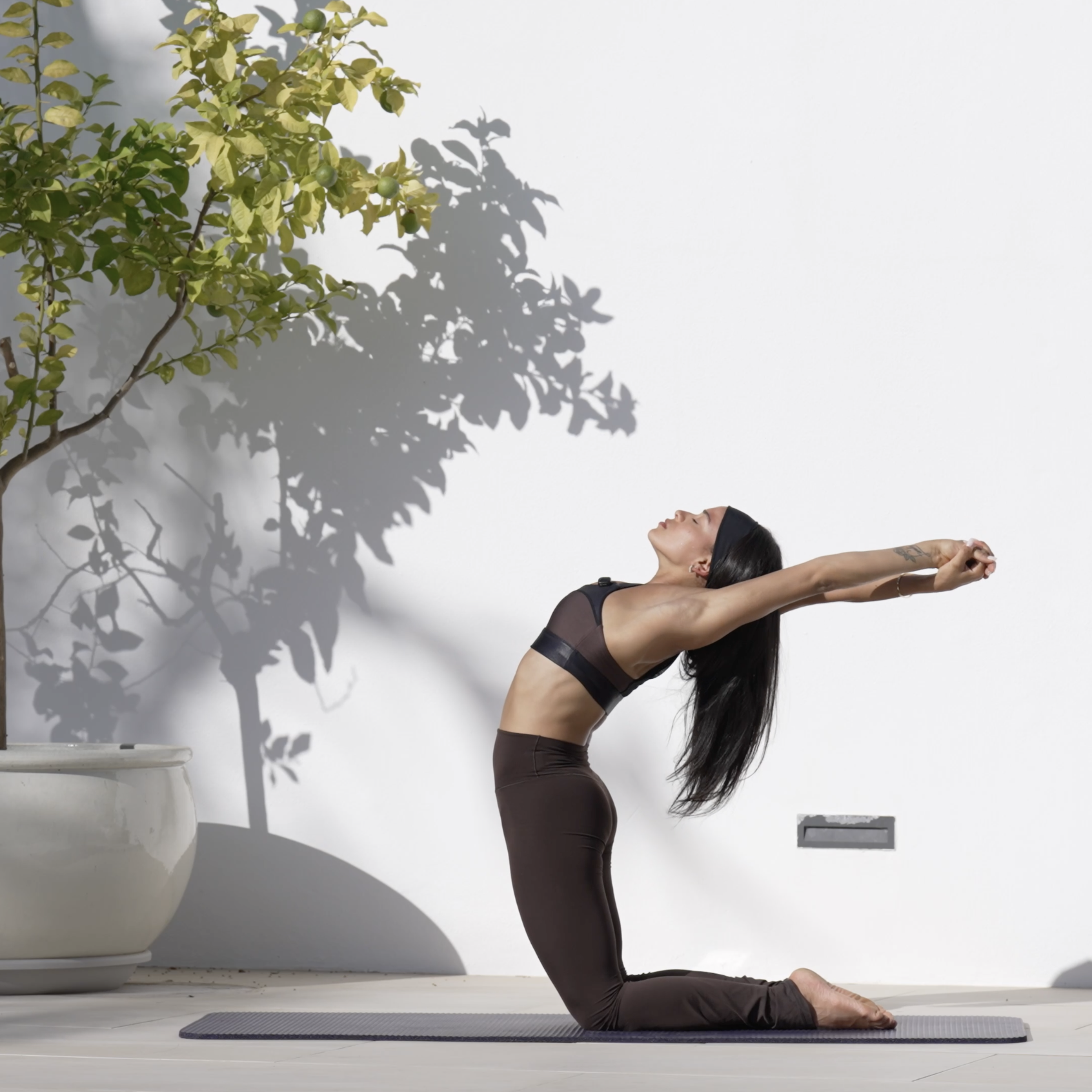 Balanced Yoga