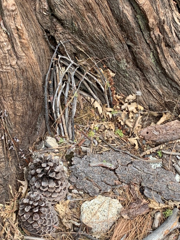 Idyllwild mountains — Dream and Eco-Therapy Retreat