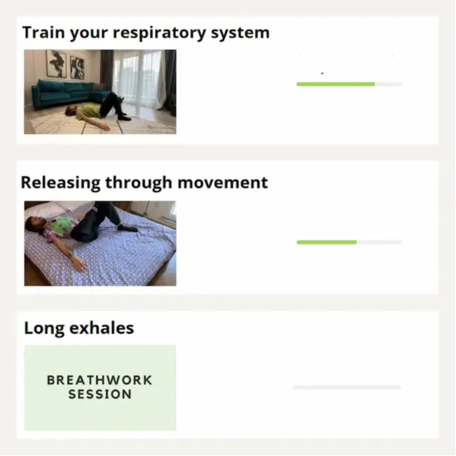 The Nervous System Reset Program Volume I