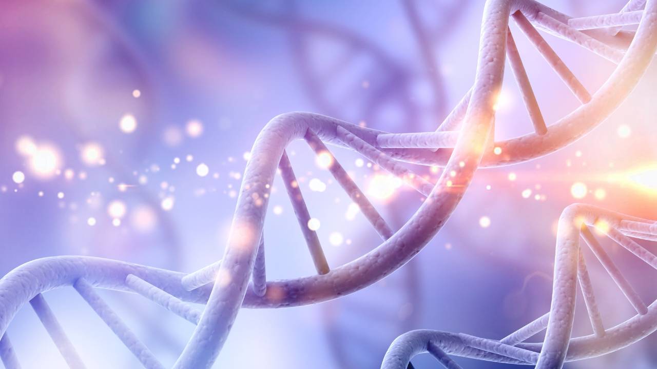 Dna Storefront Grow Your Practice without Burnout through Your Business DNA