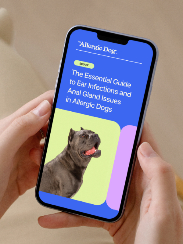 The Allergic Dog