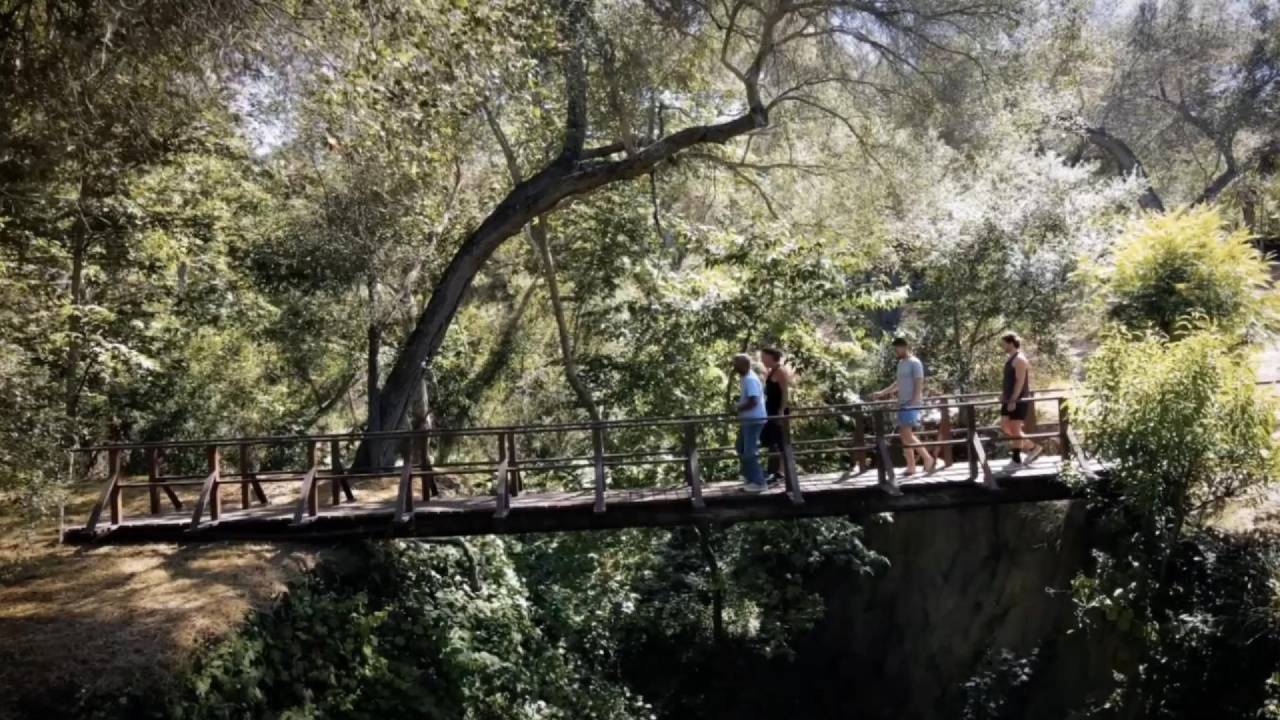Small group participating in an Order of the Infinite OTI immersion focused on nervous system regulation meditation breathwork and personal growth in nature.