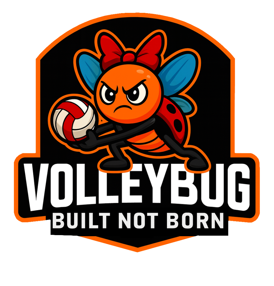 VolleyBug Header Logo