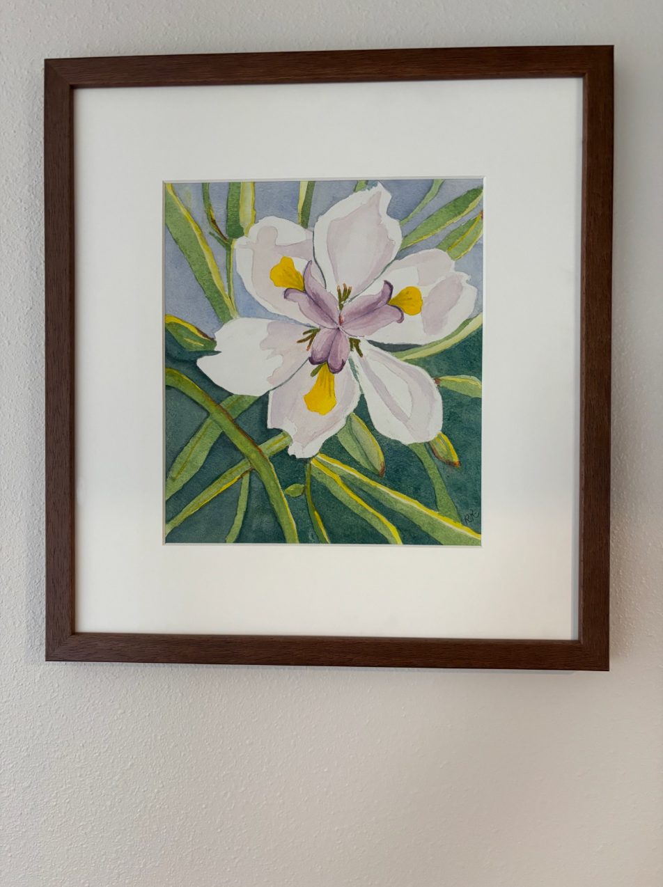 A framed watercolor of a white iris on a wall