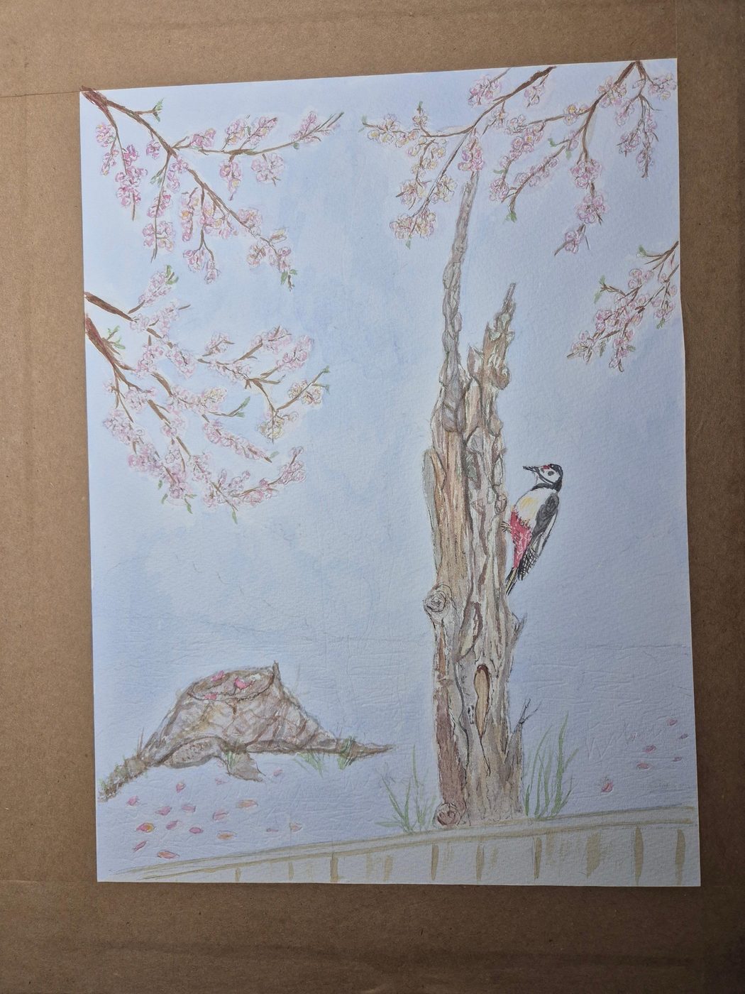 A finished watercolor of a woodpecker under cherry blossom