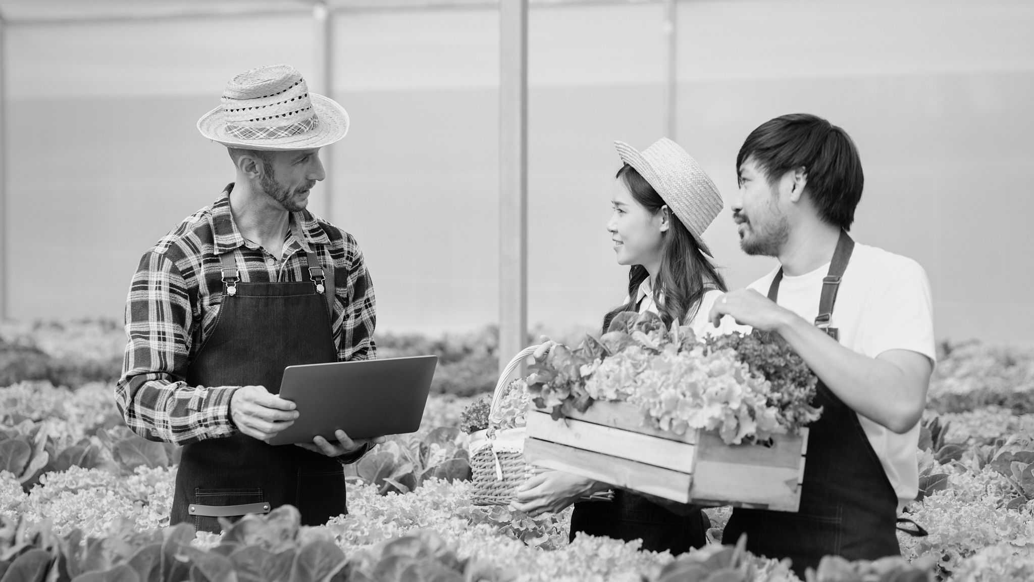 Farmers Image