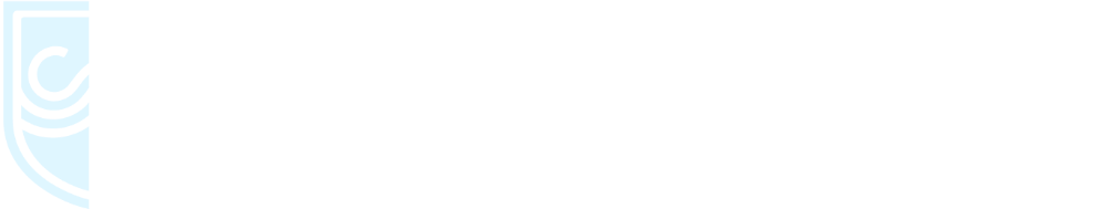 New Wave Cyber Academy Logo