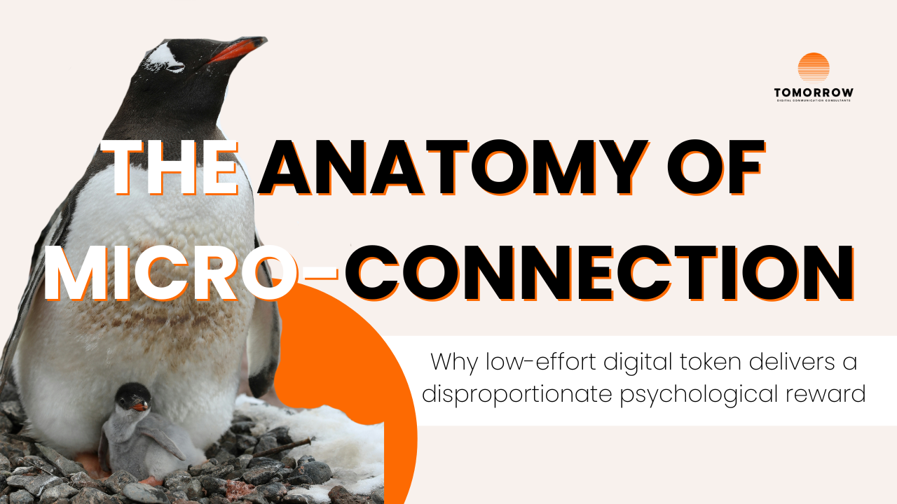 Gentoo penguins exchange smooth pebbles to reinforce social bonds and cooperative intent.