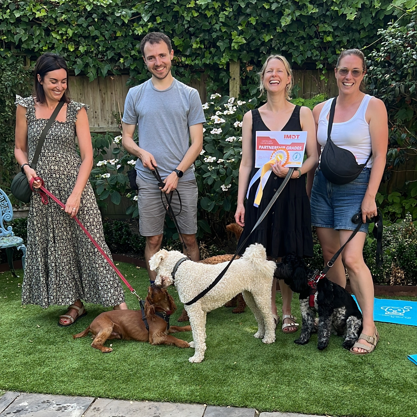 Wandsworth dog training classes