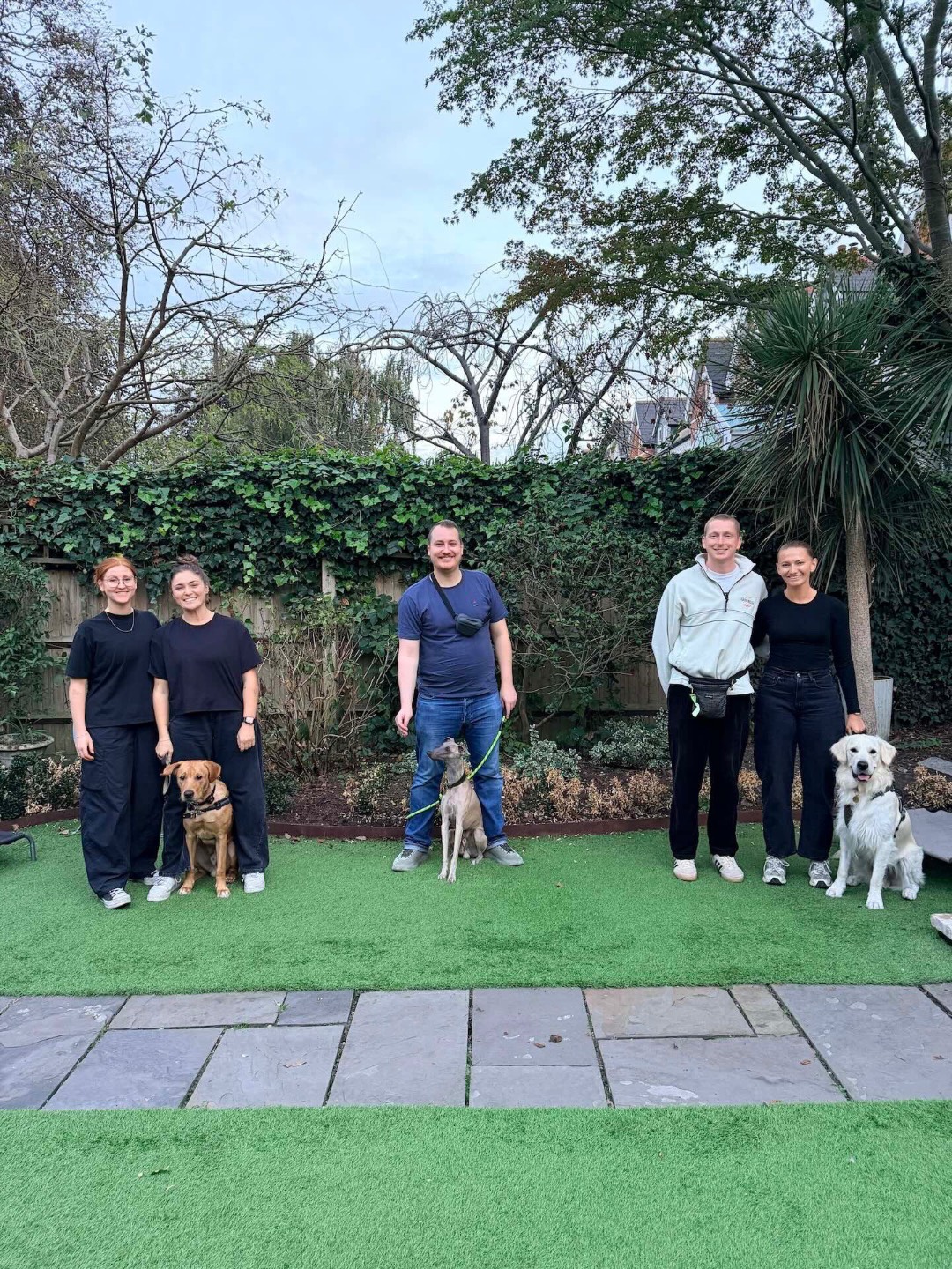 puppy and dog training classes in Wandsworth, Balham, Wimbledon, Battersea, Clapham, Tooting