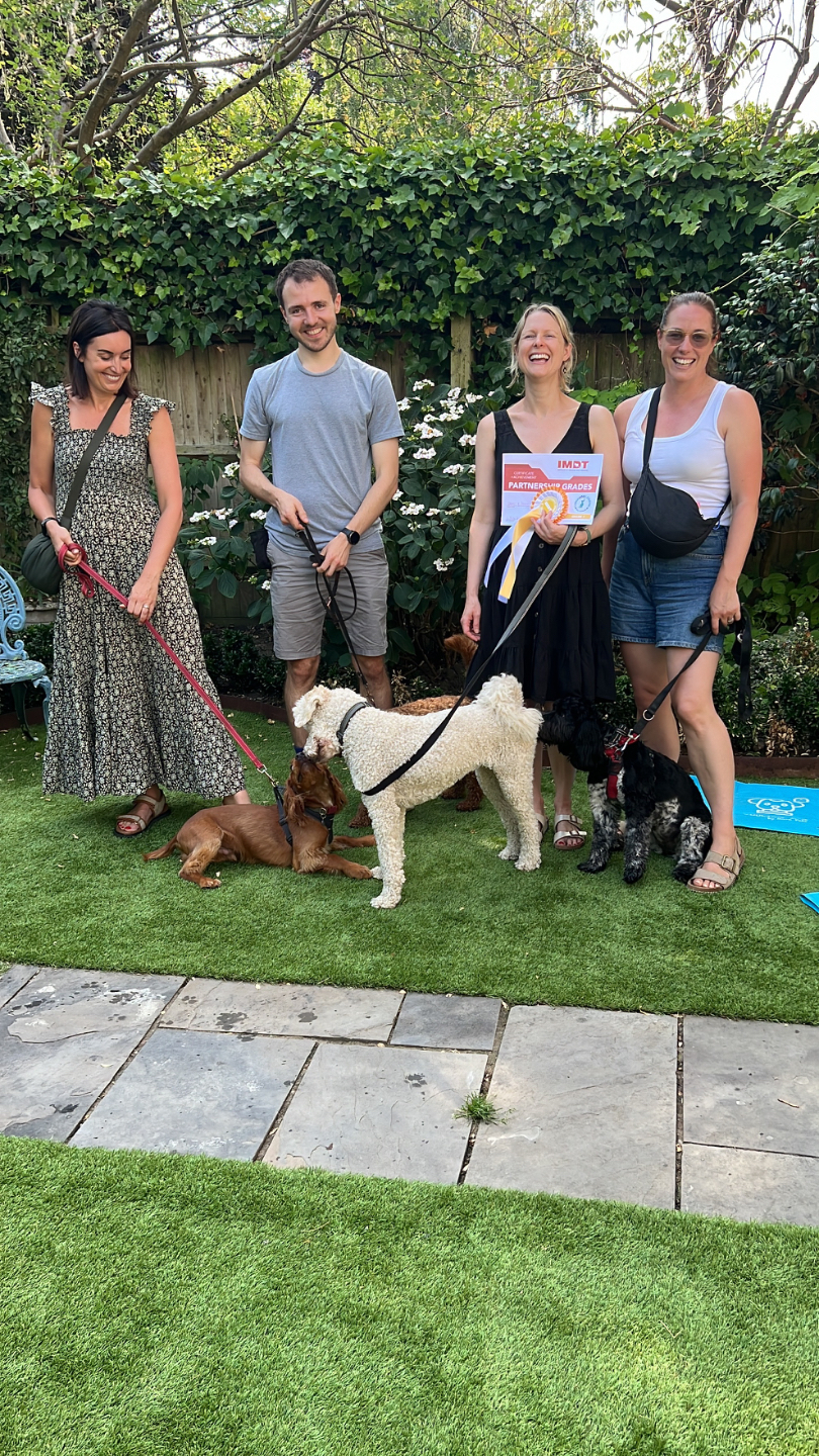 puppy and dog training classes in Wandsworth, Balham, Wimbledon, Battersea, Clapham, Tooting