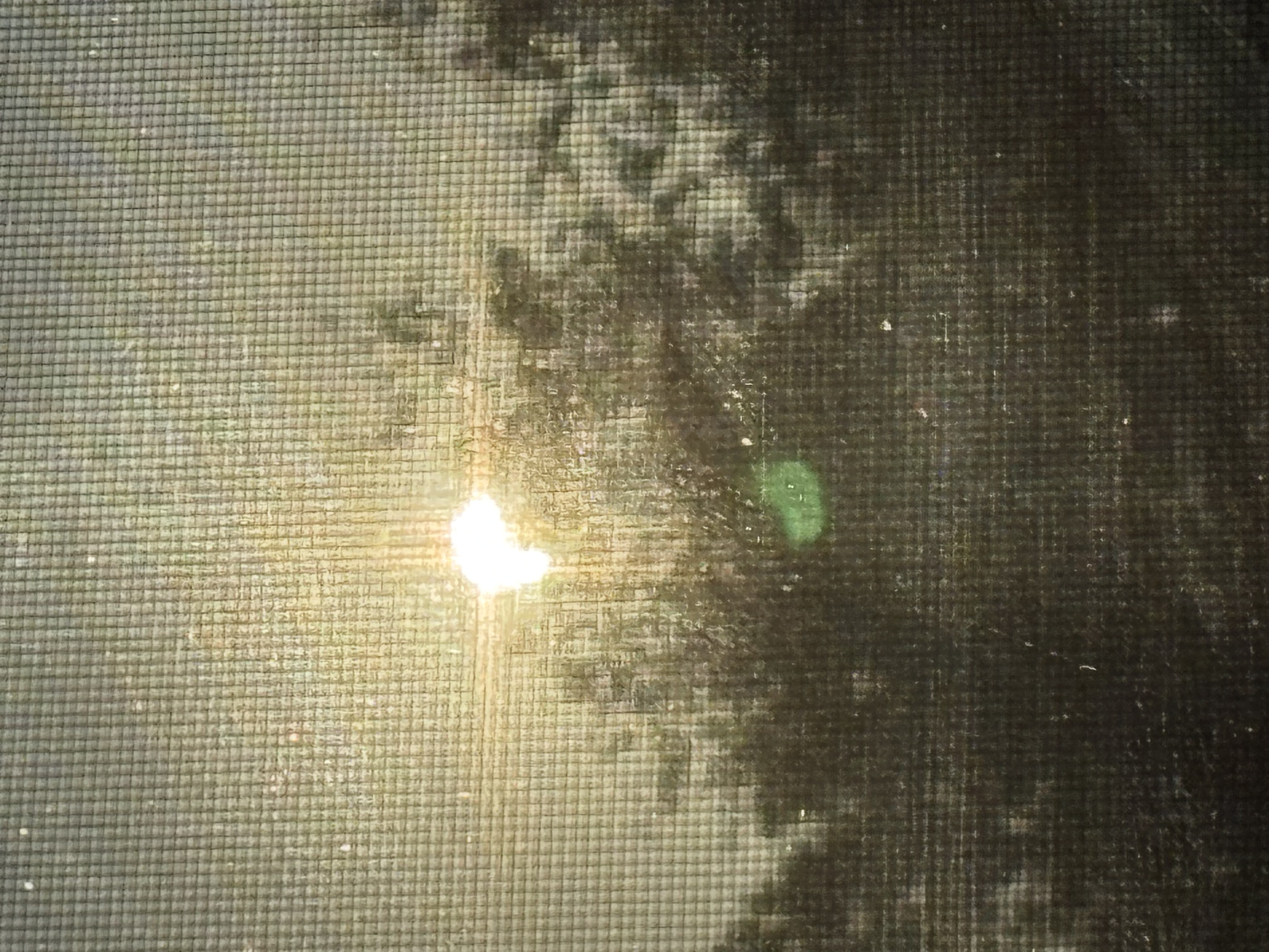 My only photo of the eclipse đ