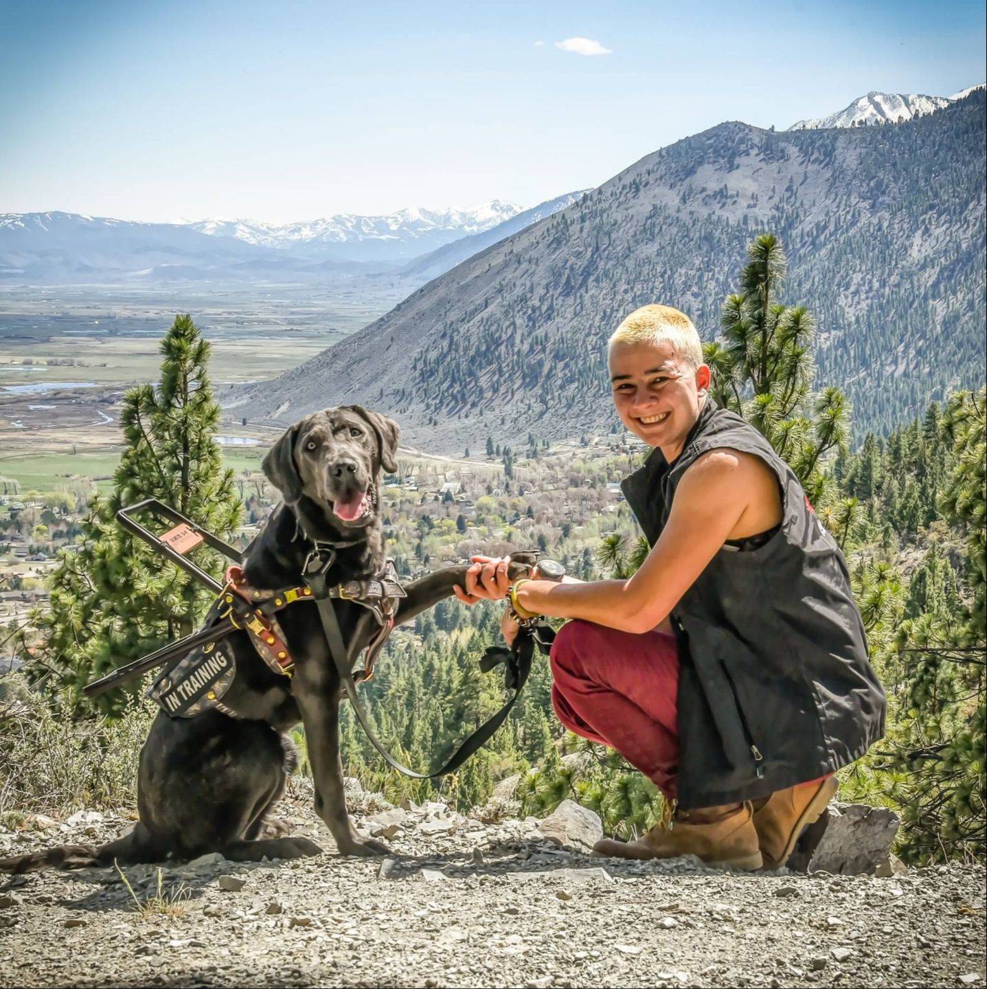 Kendall and Chan sitting on a fallen log in the Sierra with their two dogs