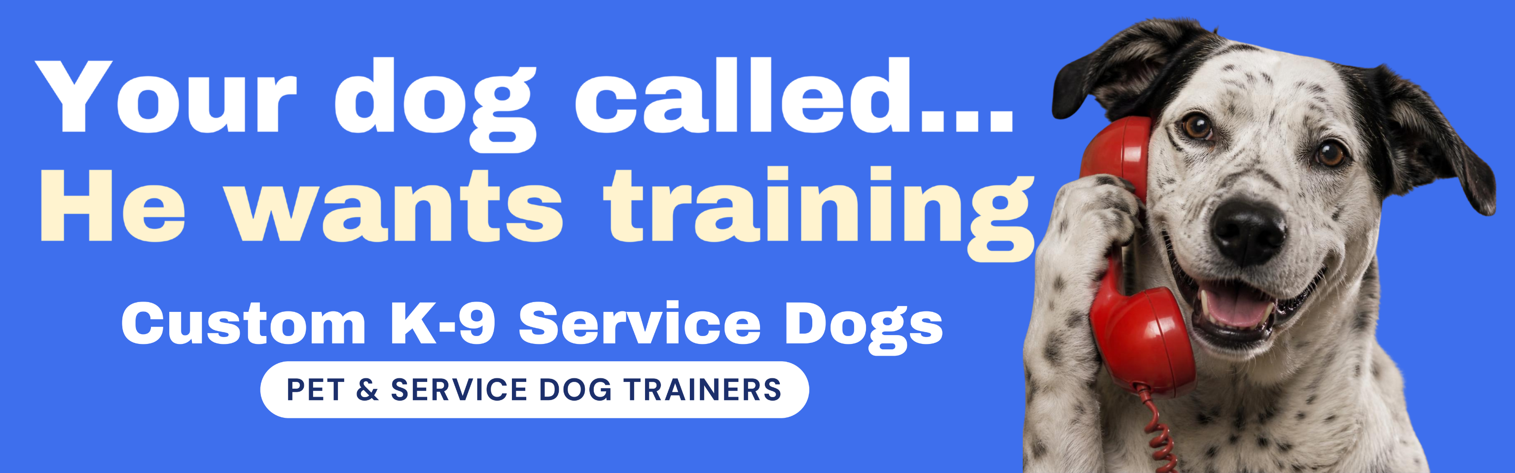 Your dog called… He wants training. Custom K-9 Service Dogs, pet and service dog trainers