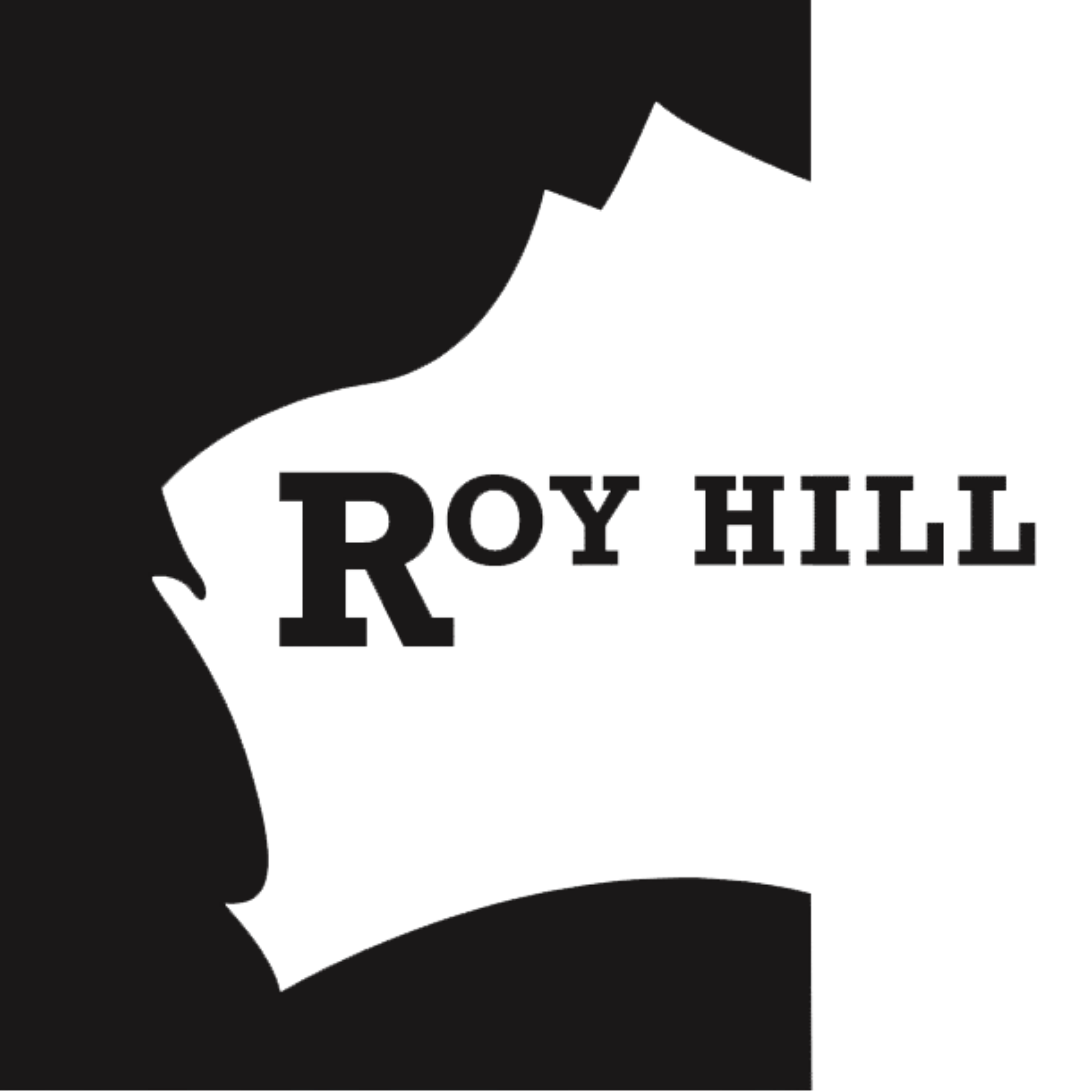 Roy Hill