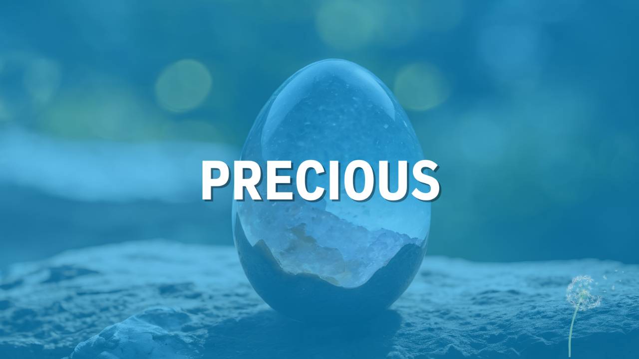 Precious Def The Many Meanings of Precious