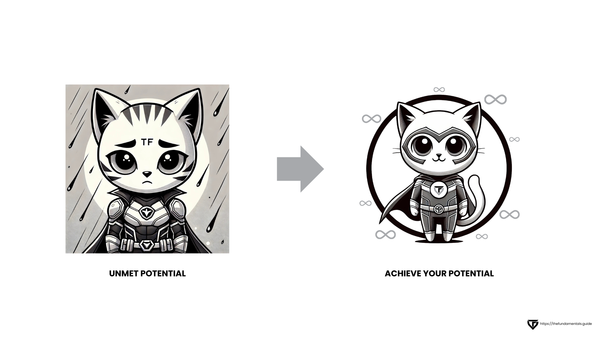Cat Transforming From Unmet Potential To Achieving Potential