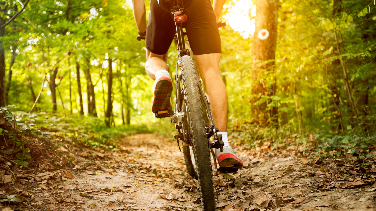 Man riding a bicycle on a trail, representing cycling as a possible cause of temporarily elevated PSA levels