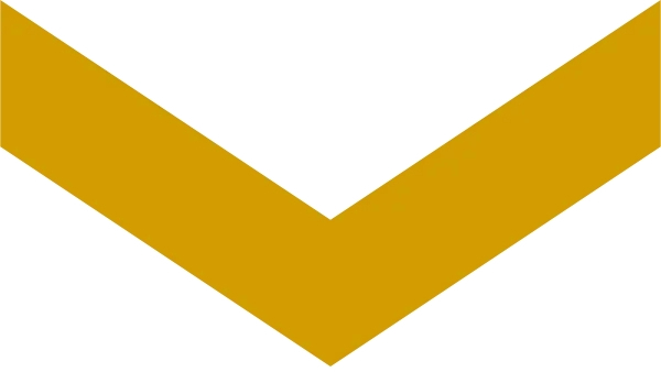 Decorative chevron arrow head pointing down