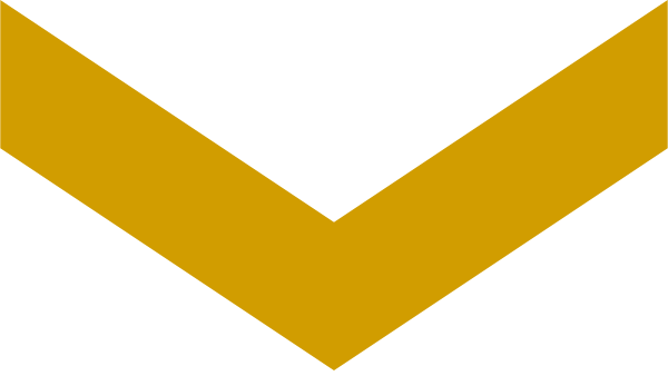 chevron arrow pointing down