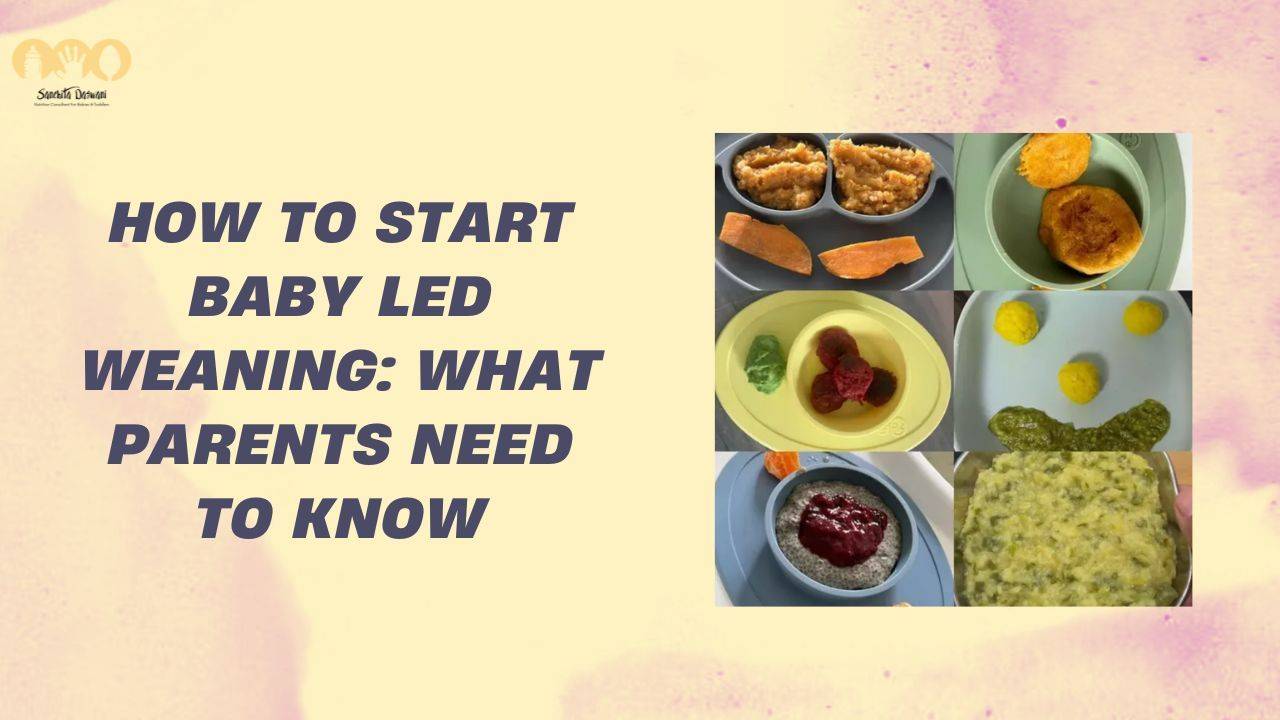 baby led weaning