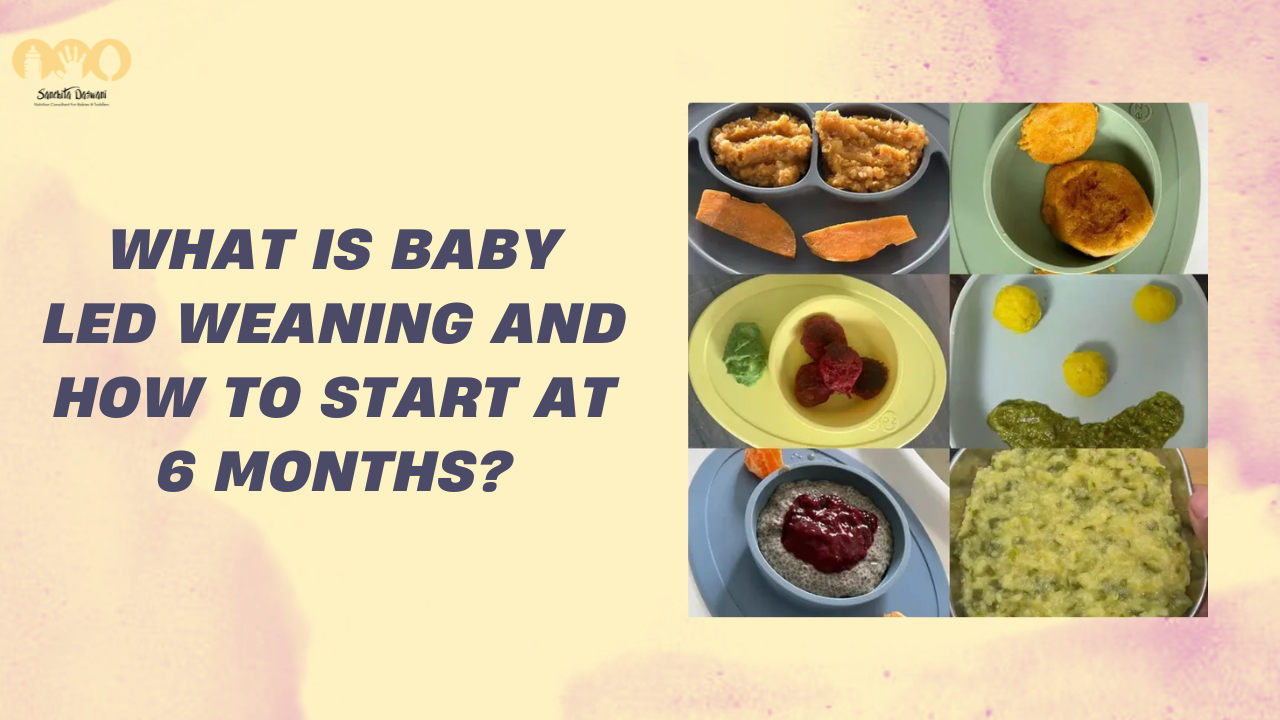 baby led weaning at 6 months