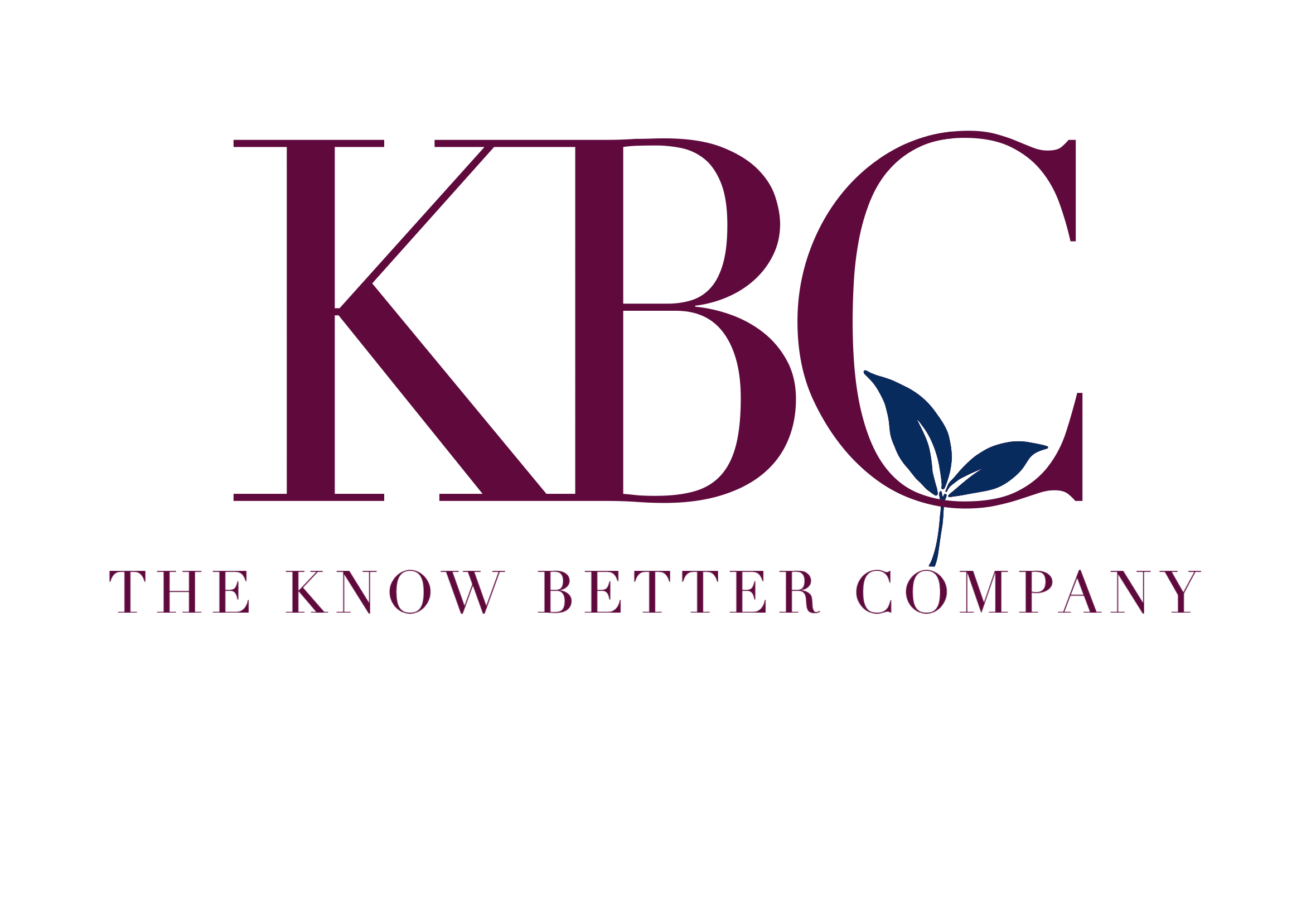 Footer Logo