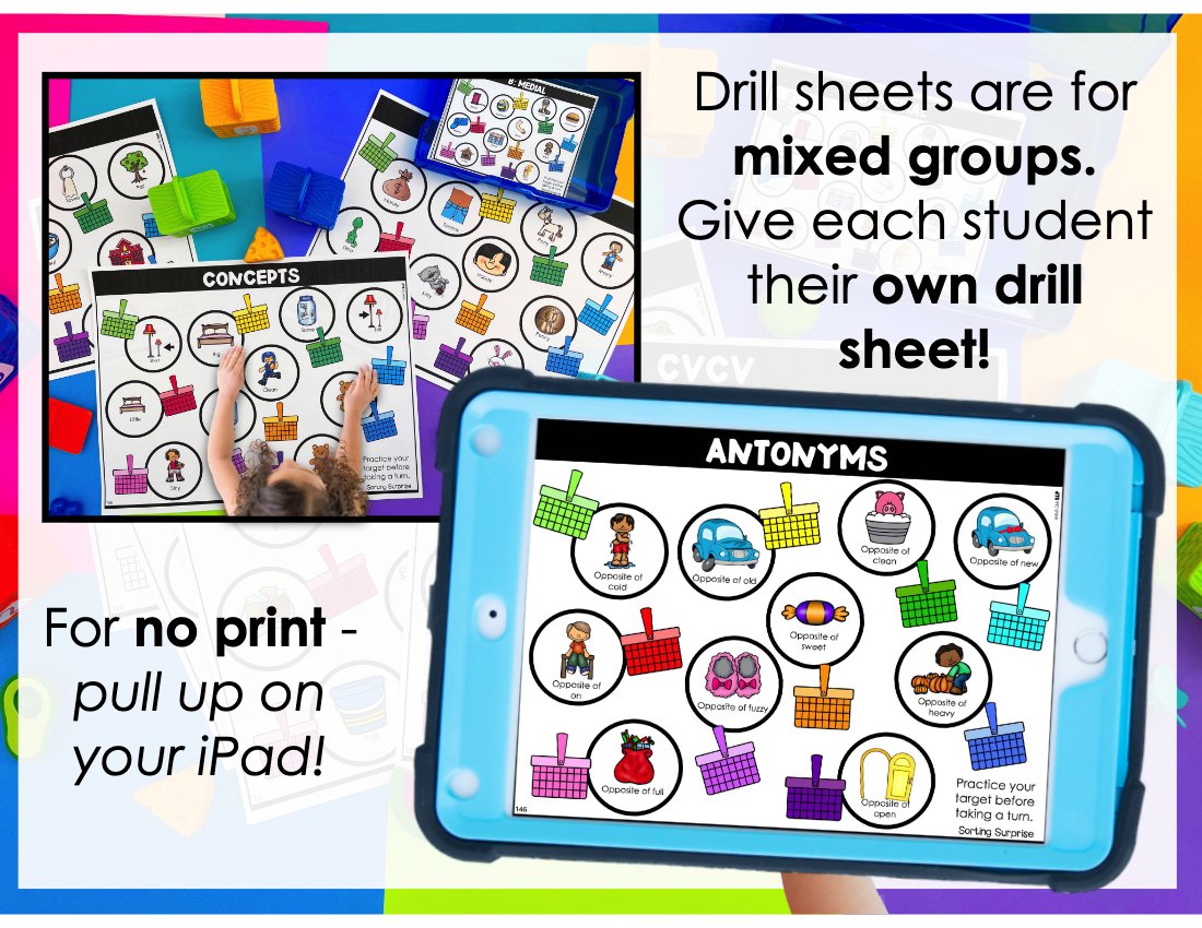 Sorting Surprise Picnic Basket Bundle for speech therapy preview page 5