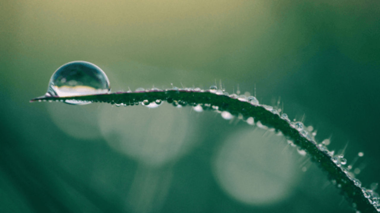 Single raindrop gathering on a window before moving