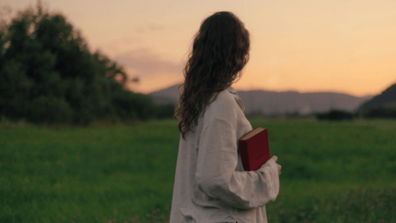 A person holds a book in a field at sunset