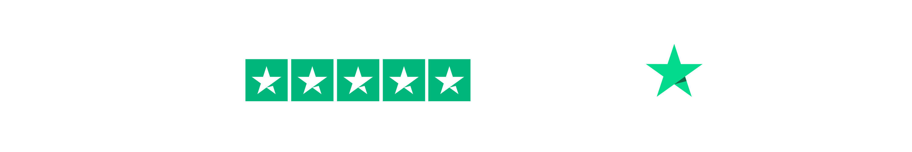 Rated 4.8 Excellent on Trustpilot