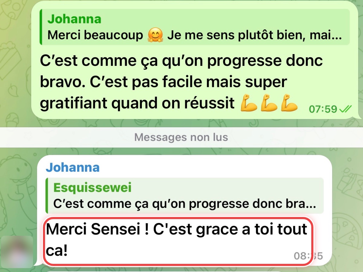 Message de Johanna, membre du Dōjō : « Merci Sensei ! C’est grâce à toi tout ça ! »