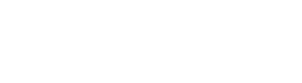 selfority logo