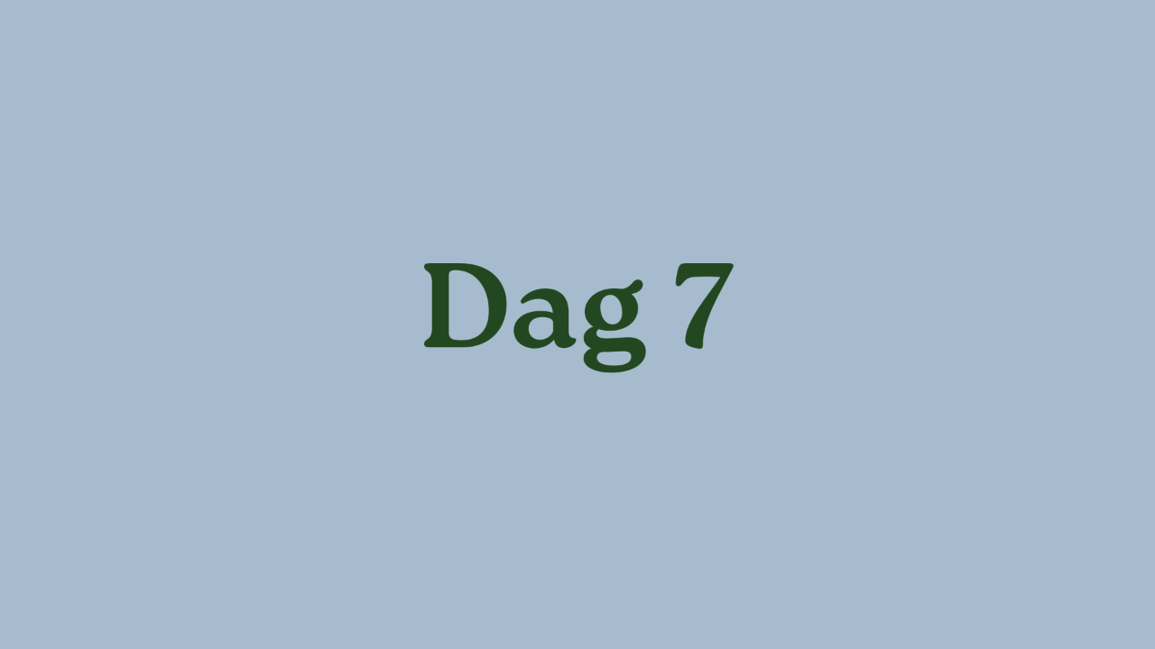 Dag 7