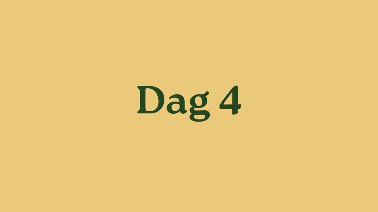 Dag 4