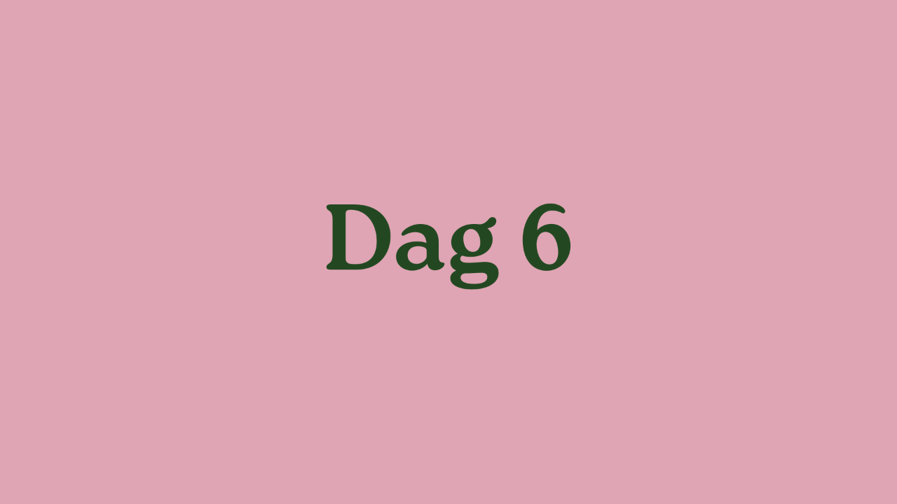 Dag 6