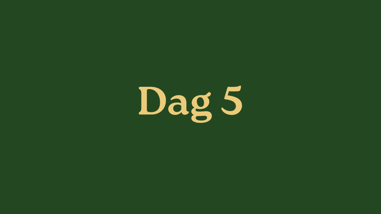 Dag 5