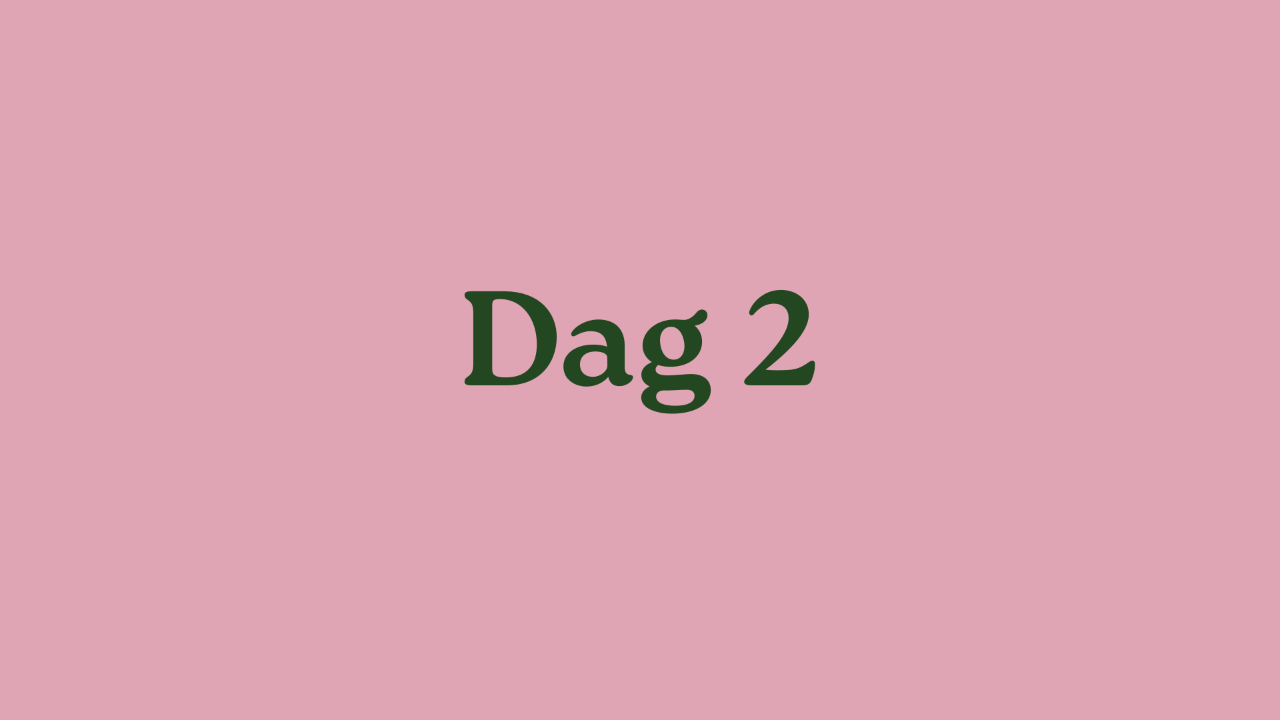 Dag 2