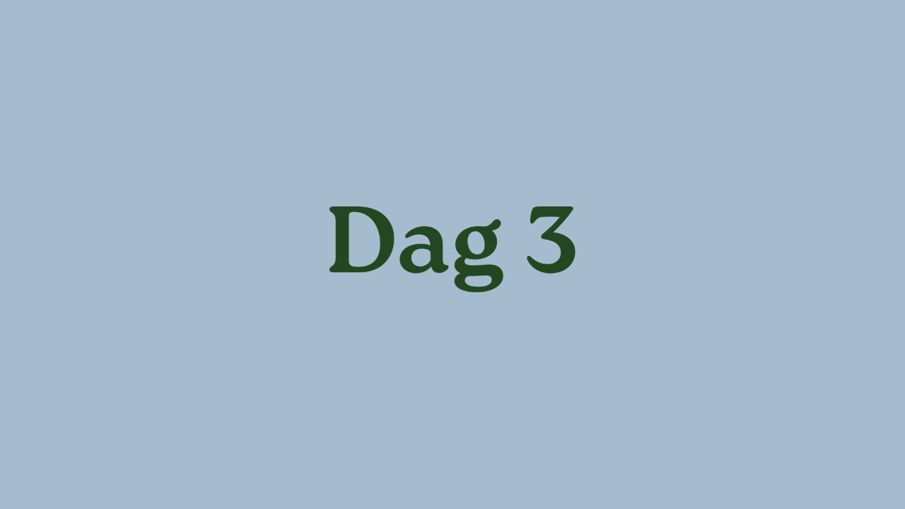 Dag 3