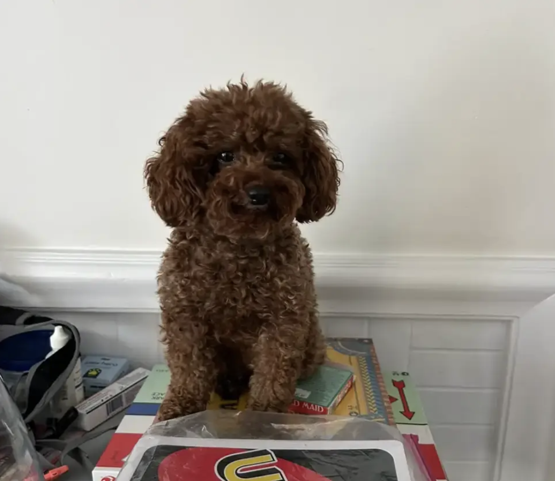 Tootsie