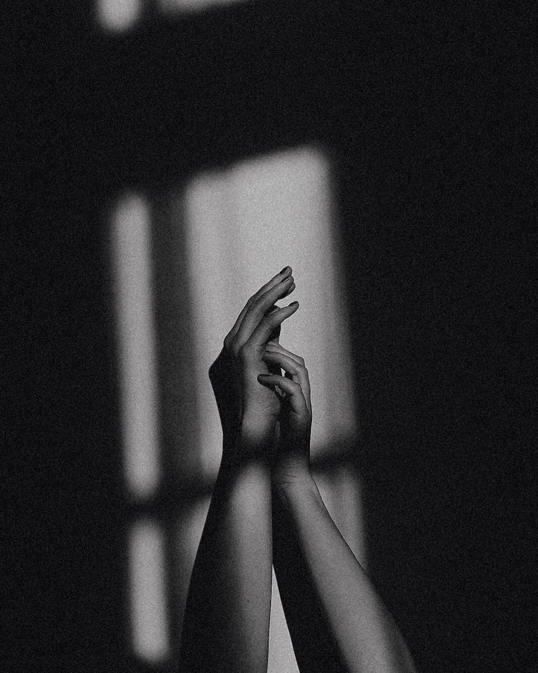 A hand in soft window light and shadow