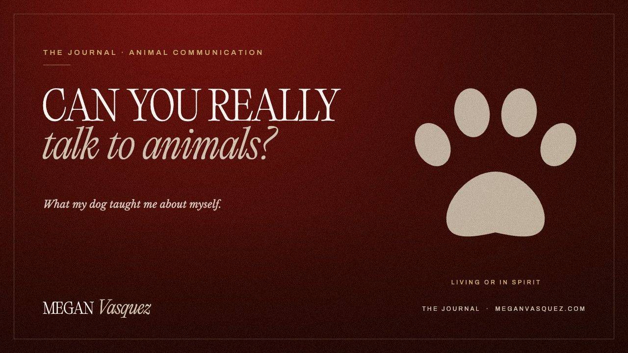 Can you really talk to animals? by Megan Vasquez