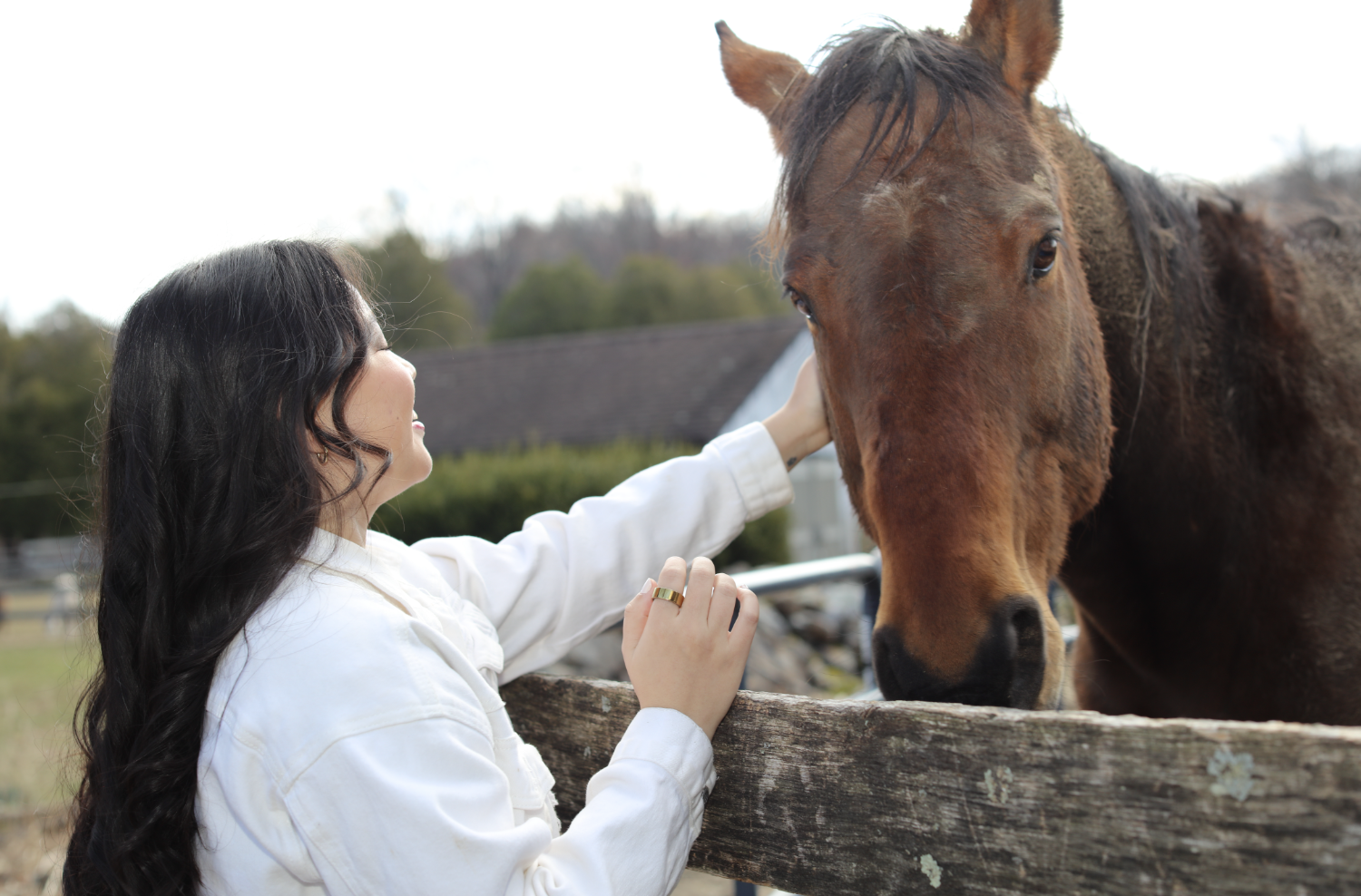 Megan greeting a brown horse over a wooden fence