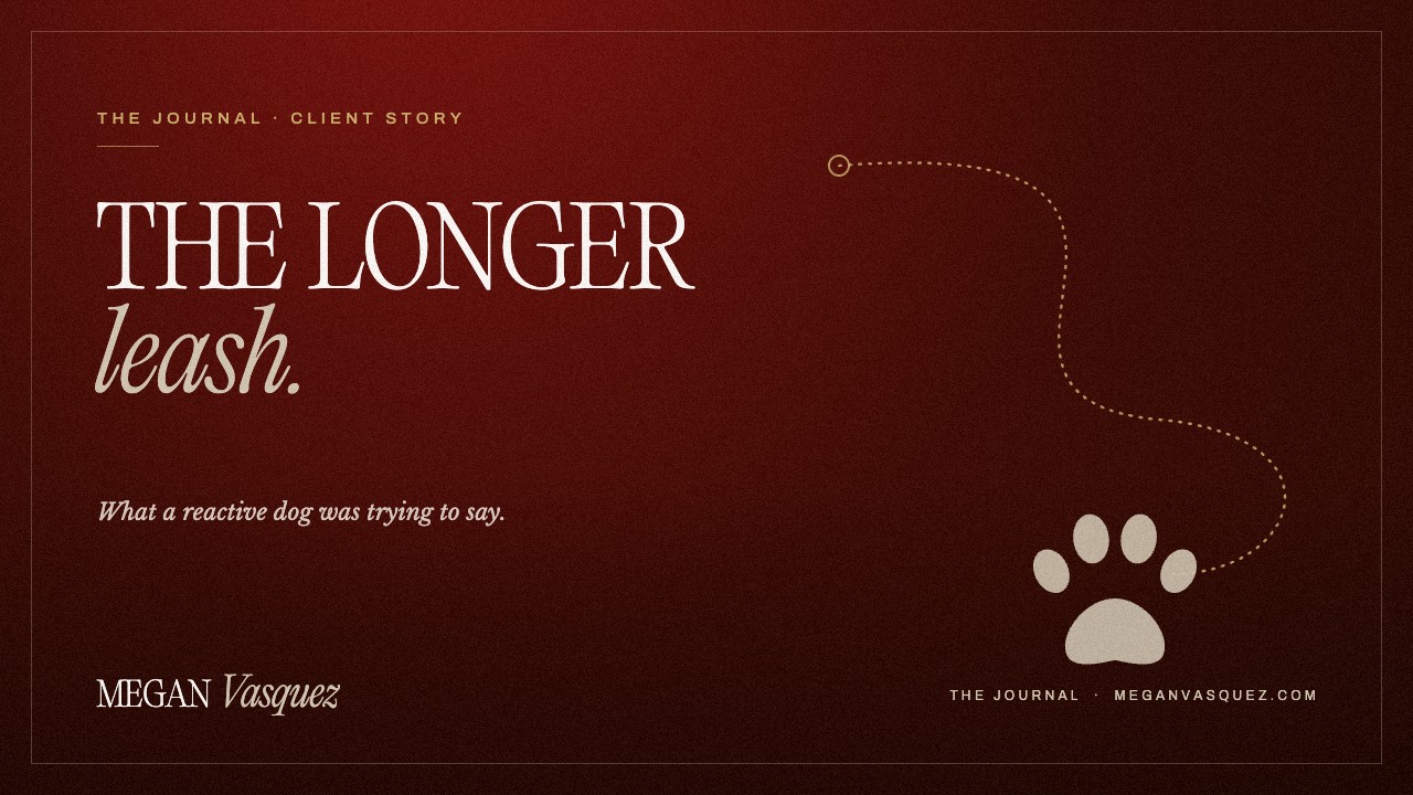 The longer leash: an animal communication client story, by Megan Vasquez