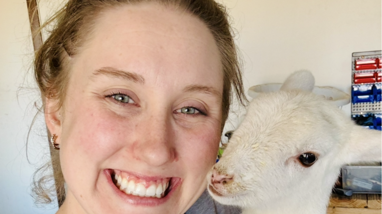 ethical vet practice ownership