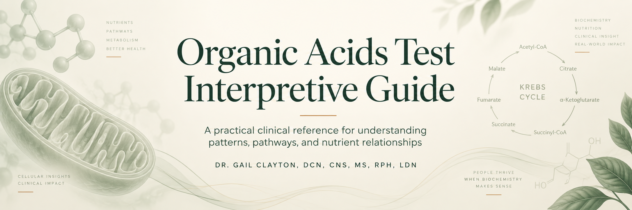 Organic Acids Test Interpretive Guide