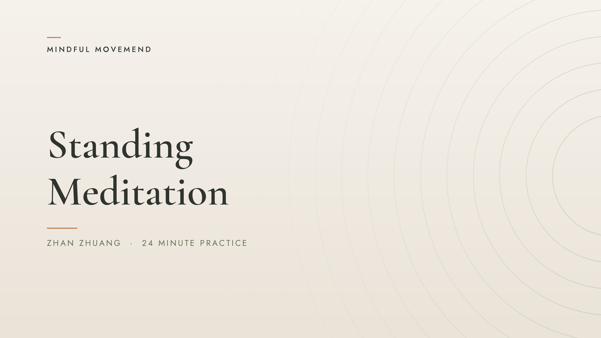 Standing Meditation (Zhan Zhuang)