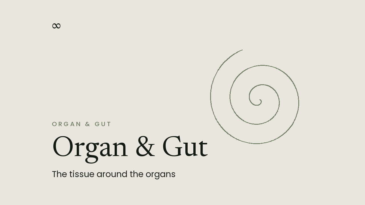 Organ Fascia Release