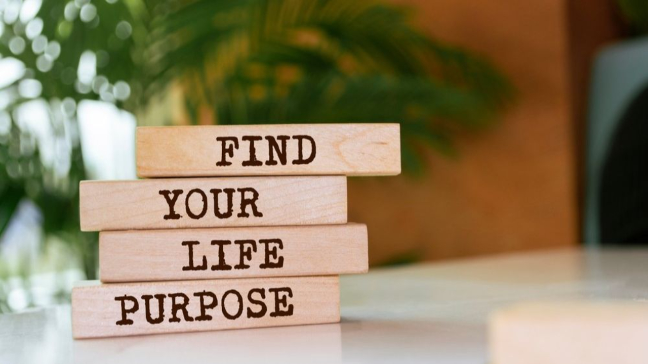 Find Your Life Purpose